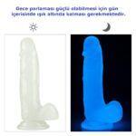 mavi-fosforlu-vantuzlu-silikon-jel-dildo-penis
