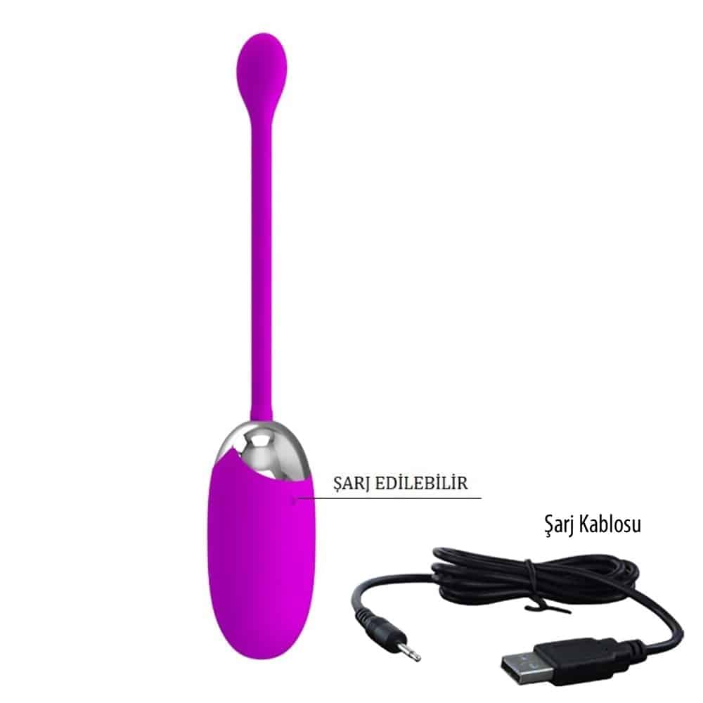 12-titresimli-mor-fantezi-yumurta-vibrator-6