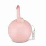 Titreşimli Şişirilebilir Pilates Toplu Vibratör Penis