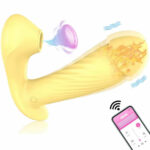 giyilebilir-isitmali-vakum-emisli-app-uyumlu-vibrator