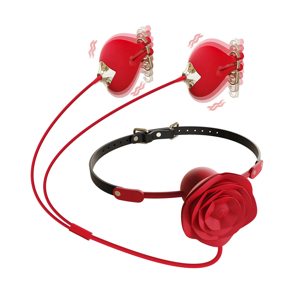 fetis-top Göğüs Ucu Kıskacı ve Ağız Topu Vibratörlü Fetiş Set